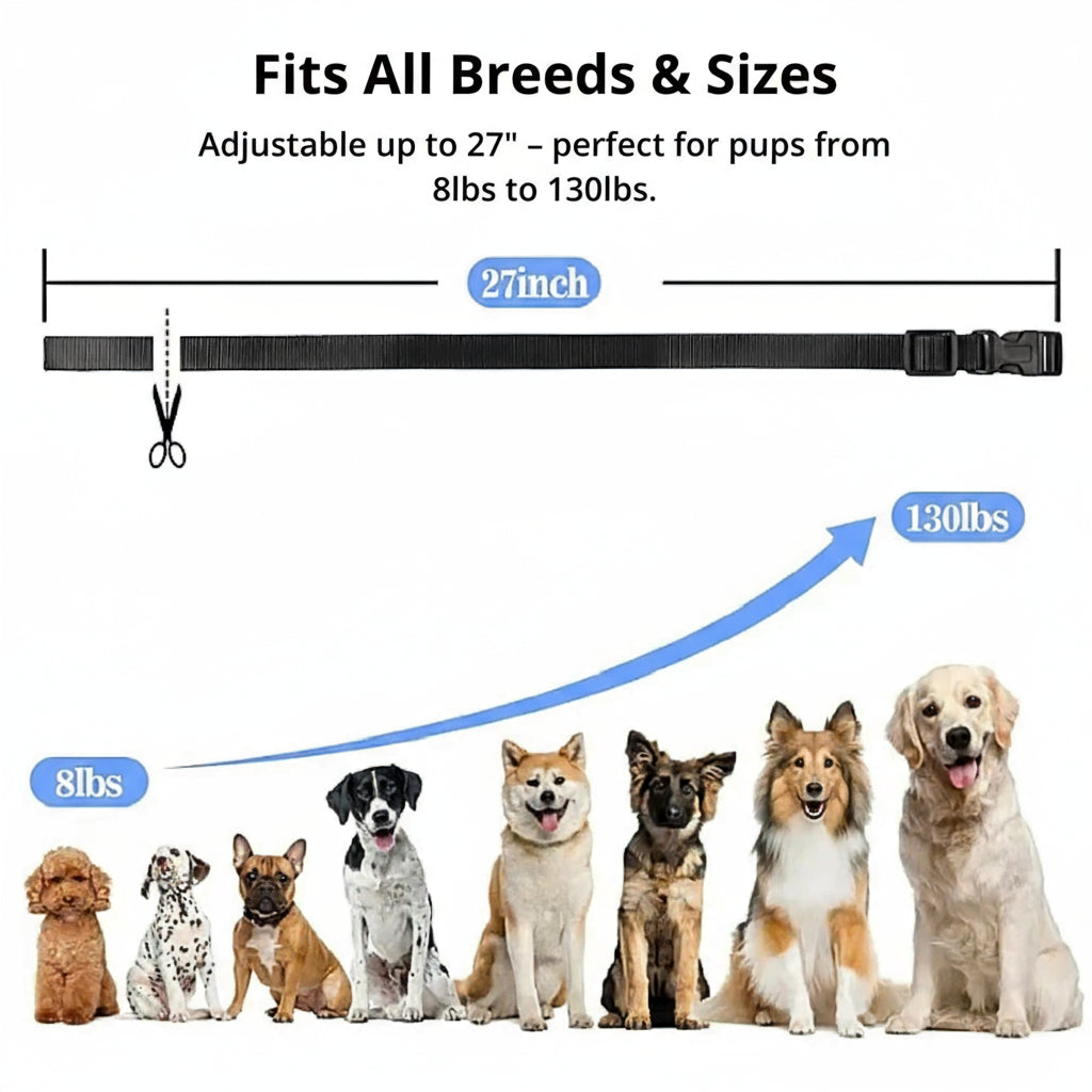 1000m Rechargeable Dog Training Collar with Remote Control