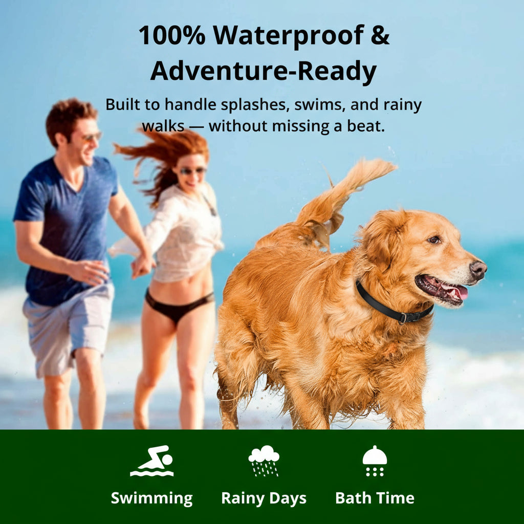 1000m Rechargeable Dog Training Collar with Remote Control