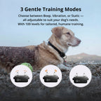 1000m Rechargeable Dog Training Collar with Remote Control