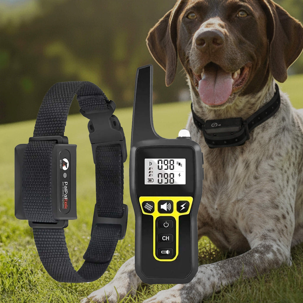 1000m Rechargeable Dog Training Collar with Remote Control