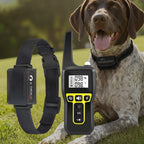 1000m Rechargeable Dog Training Collar with Remote Control