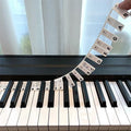 Removable Piano Keyboard Note Labels for Beginners - Black, Colourful