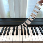 Removable Piano Keyboard Note Labels for Beginners - Black, Colourful