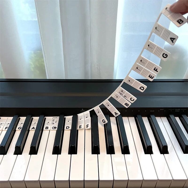 Removable Piano Keyboard Note Labels for Beginners - Black, Colourful