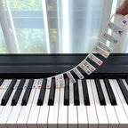 Removable Piano Keyboard Note Labels for Beginners - Black, Colourful, view 10