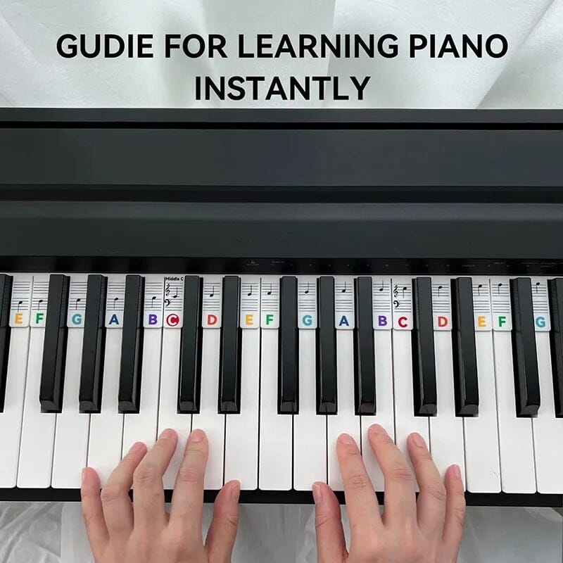 Removable Piano Keyboard Note Labels for Beginners - Black, Colourful, view 7