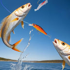 24-Day Christmas Countdown Fish Tackle Set, 24-Day Fishing Tackle Advent Calendar