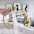 360-Degree Pull-Out Shower Faucet, Height-Adjustable Brass and Chrome