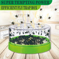 Reusable Fly Trap for Garden and Kitchen - 7 Entrances, Plastic & Metal Mesh
