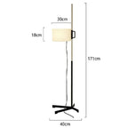 Agnor Black Floor Lamp-Welvere
