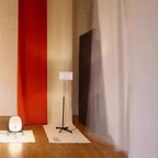 Agnor Black Floor Lamp-Welvere