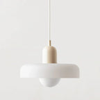 Alva Pendant Light-Welvere