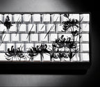 Artistic PBT Keyboard Keycaps with Black and White Artwork