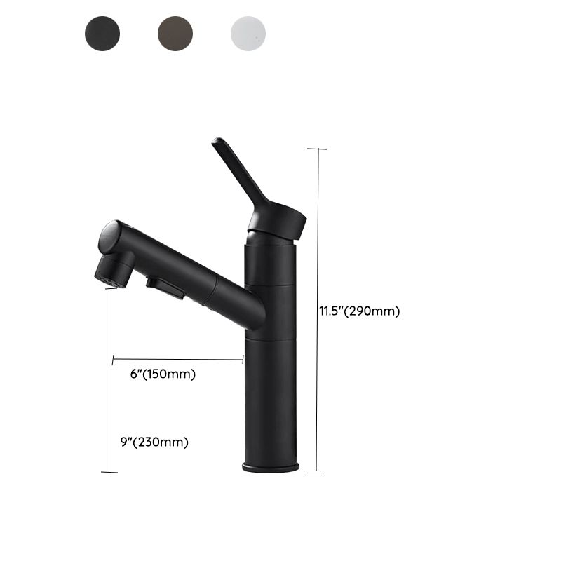 Bathroom Vessel Faucet with Swivel Spout and Pull-Out Spray Head - Black, view 21