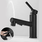 Bathroom Vessel Faucet with Swivel Spout and Pull-Out Spray Head - Black, view 31
