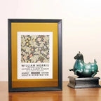 Celeo Frame Collection-Welvere