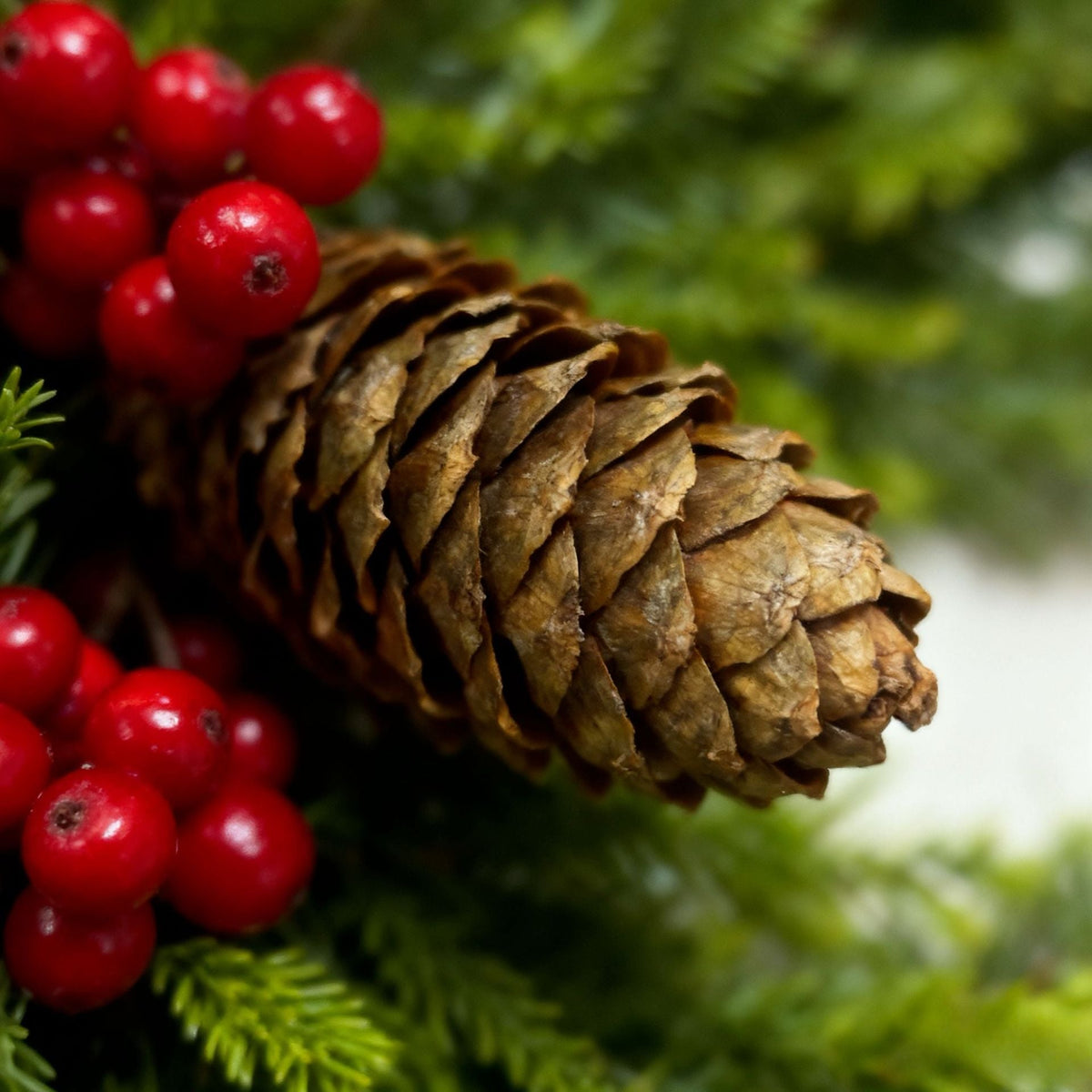Christmas Pine and Cedar Door Hanging Wreath