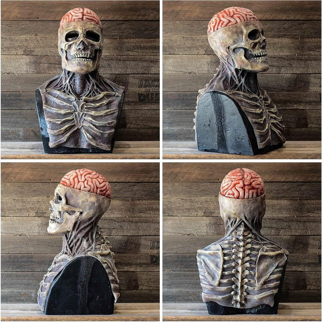 Halloween Skull Mask with Brain Detail - Animated Jaw, Full Head Latex, view 4