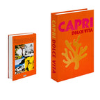 Decorative Book Replica with Concealed Storage, Paper, 26 x 17 x 4 cm