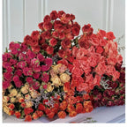 Dried Floral Rose Bouquet with Botanical Fillers