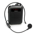 Voice Amplifier for Teachers - Portable, USB Charging, Long Battery Life