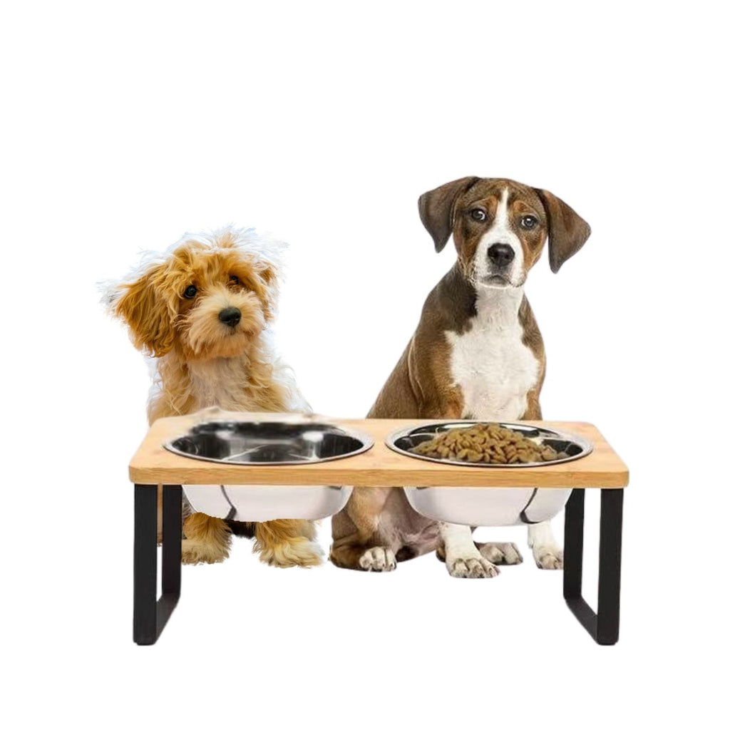 Elevated Dog Bowl with Removable Stainless Steel Bowls and Bamboo Stand