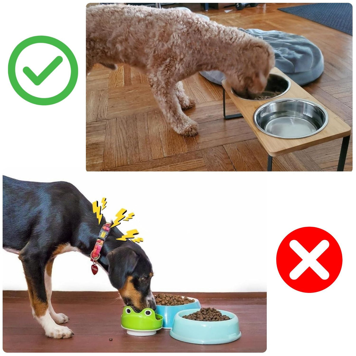 Elevated Dog Bowl with Removable Stainless Steel Bowls and Bamboo Stand
