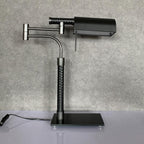 Falka Desk Lamp-Welvere