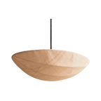 Fernmere Pendant Lamp-Welvere