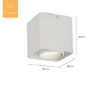 Fline Surface Mounted Downlight-Welvere