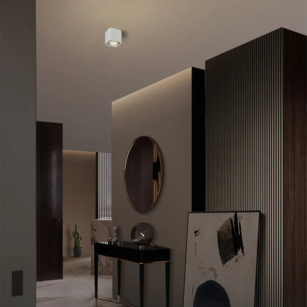 Fline Surface Mounted Downlight-Welvere