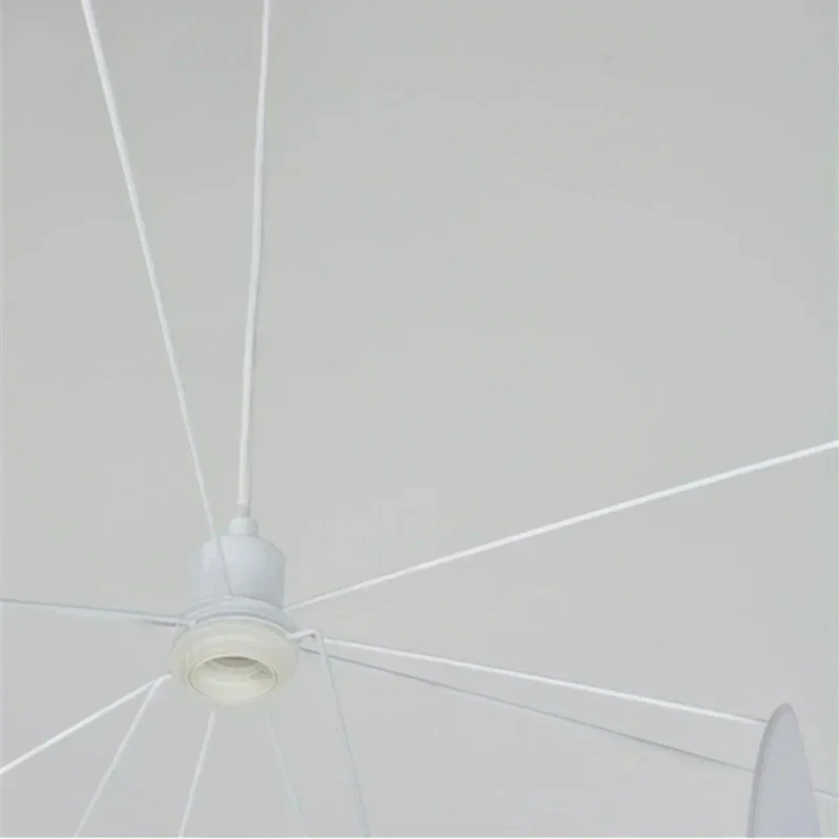Flus Pendant Lamp-Welvere