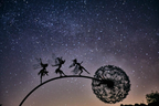 Garden Decoration with Dancing Spirits - Metal, 80 cm Rod, 15 cm Flower Head, view 3
