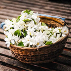 Jasmine Seeds for Climbing Plants - 100 Pack, Fragrant, Evergreen, White Flowers, view 2