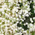 Jasmine Seeds for Climbing Plants - 100 Pack, Fragrant, Evergreen, White Flowers, view 7