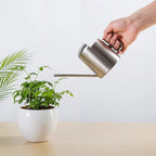 Stainless Steel Watering Can for Indoor & Outdoor Plants - 300ml Long Spout, view 2