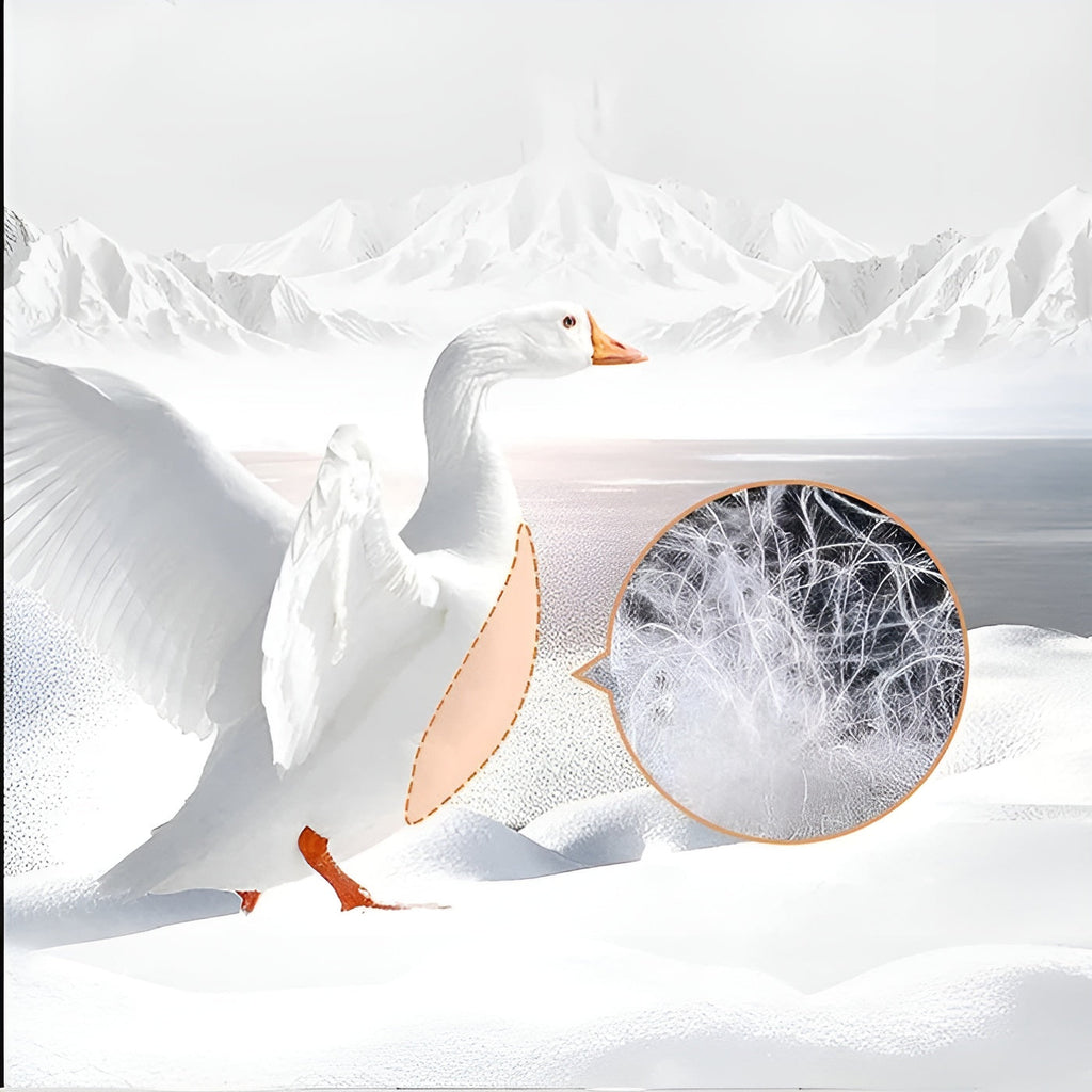 Goose Down Pillow with 100% Cotton Cover and Neck Support