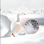 Goose Down Pillow with 100% Cotton Cover and Neck Support