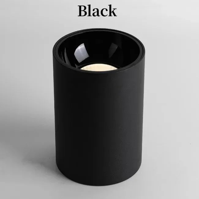 Gunna Black & White Surface Mounted Downlight-Welvere