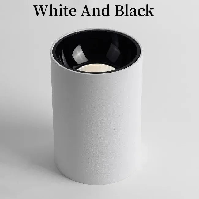 Gunna Black & White Surface Mounted Downlight-Welvere