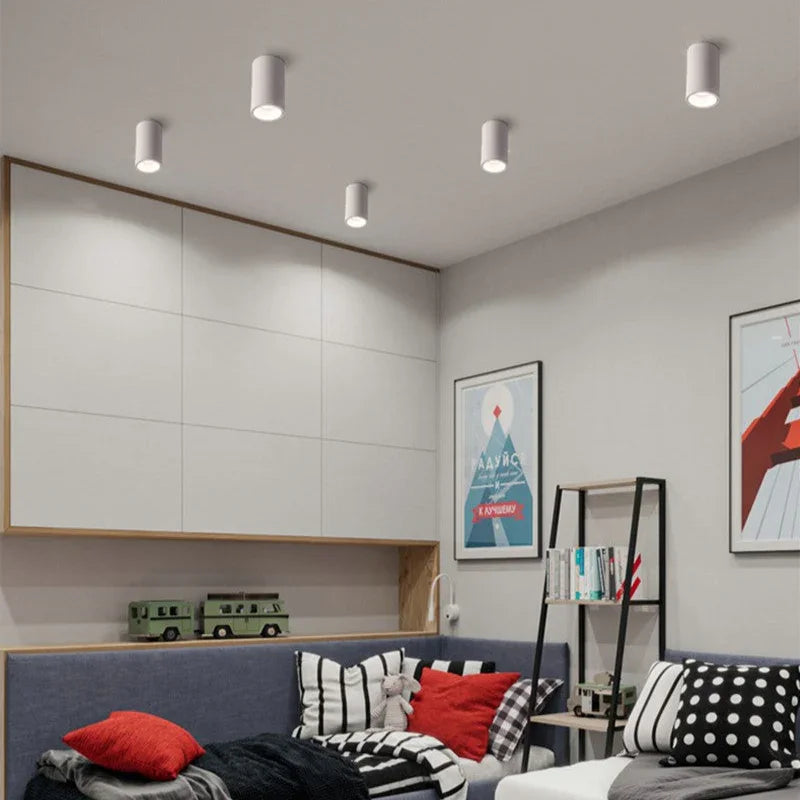 Gunna Black & White Surface Mounted Downlight-Welvere