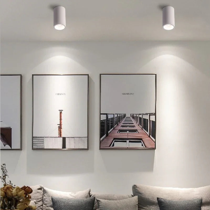 Gunna Black & White Surface Mounted Downlight-Welvere