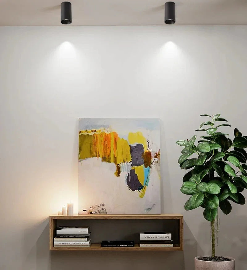 Gunna Black & White Surface Mounted Downlight-Welvere