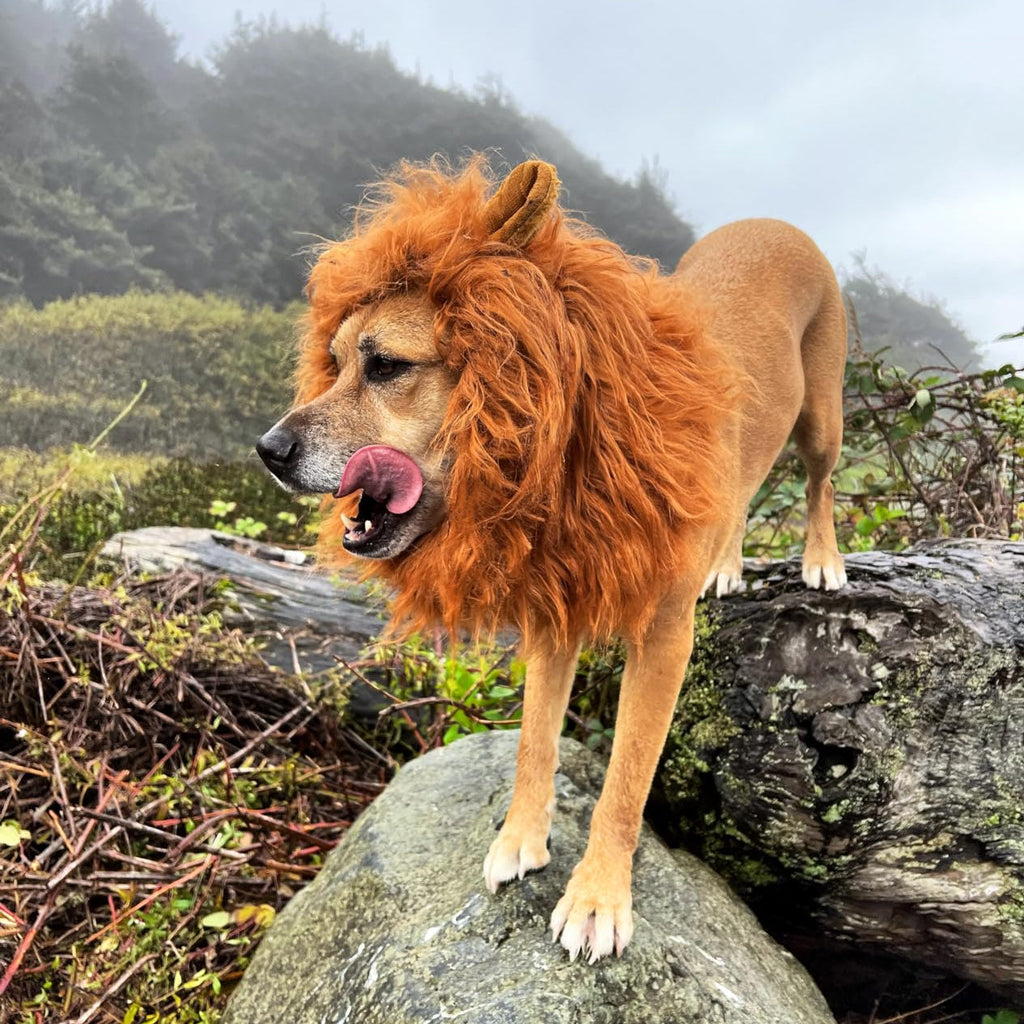 Halloween Dog Lion Mane Costume Wig, Plush, Adjustable 60–80 cm