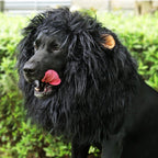 Halloween Dog Lion Mane Costume Wig, Plush, Adjustable 60–80 cm