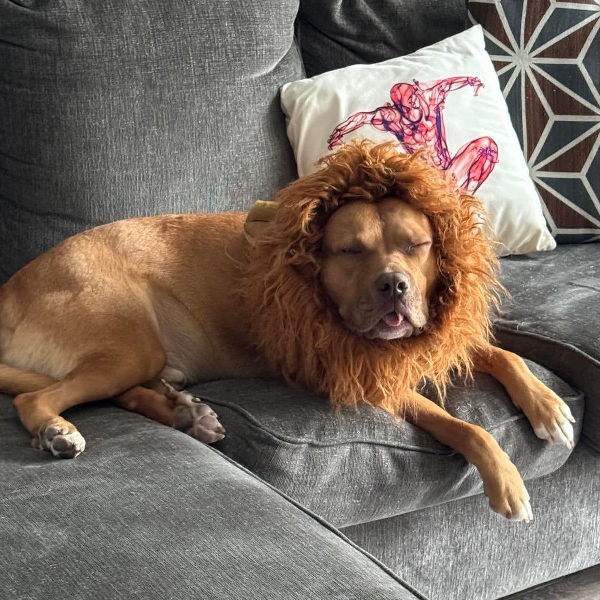 Halloween Dog Lion Mane Costume Wig, Plush, Adjustable 60–80 cm