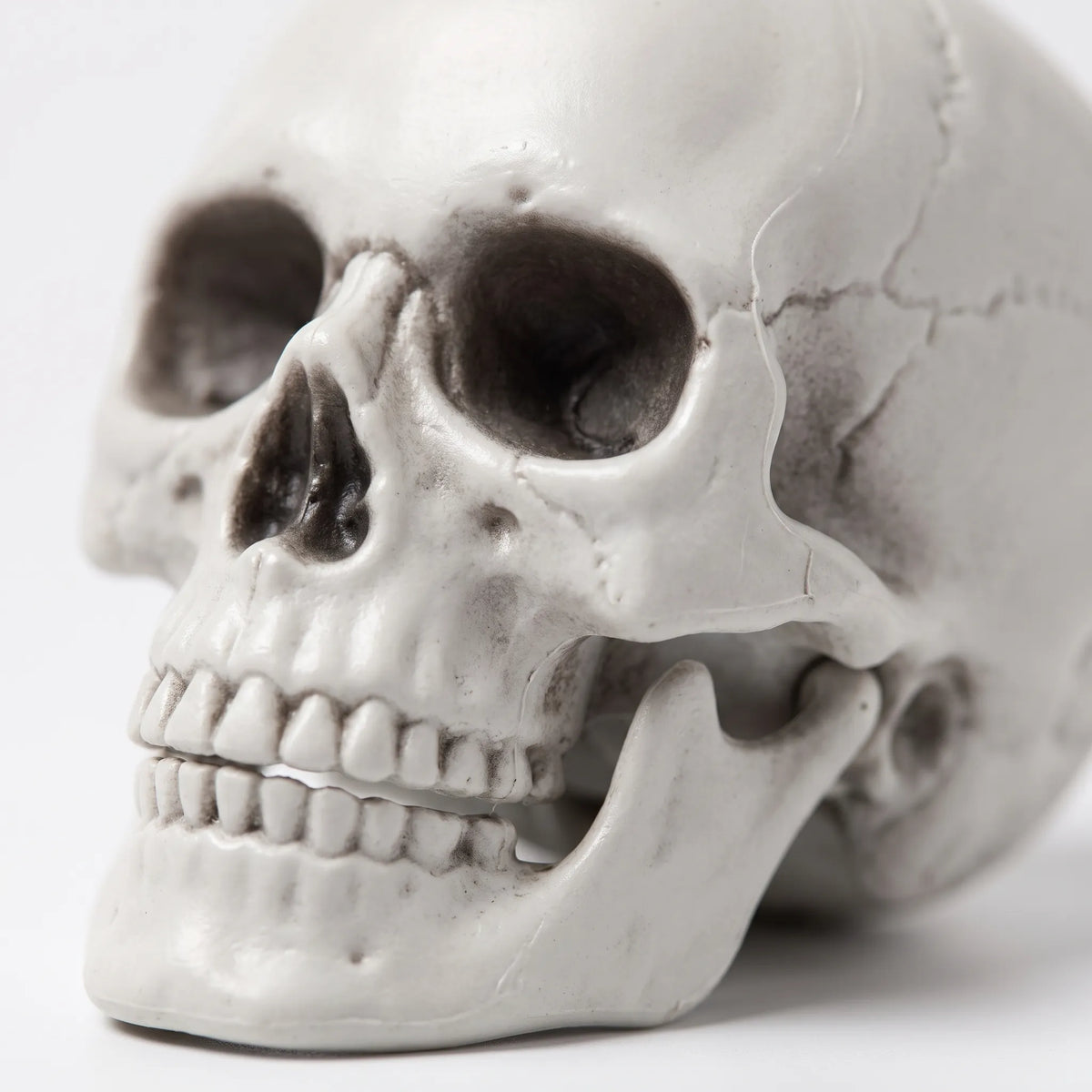 Halloween Skeleton Hanging Poseable Haunted House Decoration