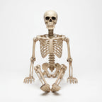 Halloween Skeleton Poseable Full Body Outdoor Garden Decor 35in