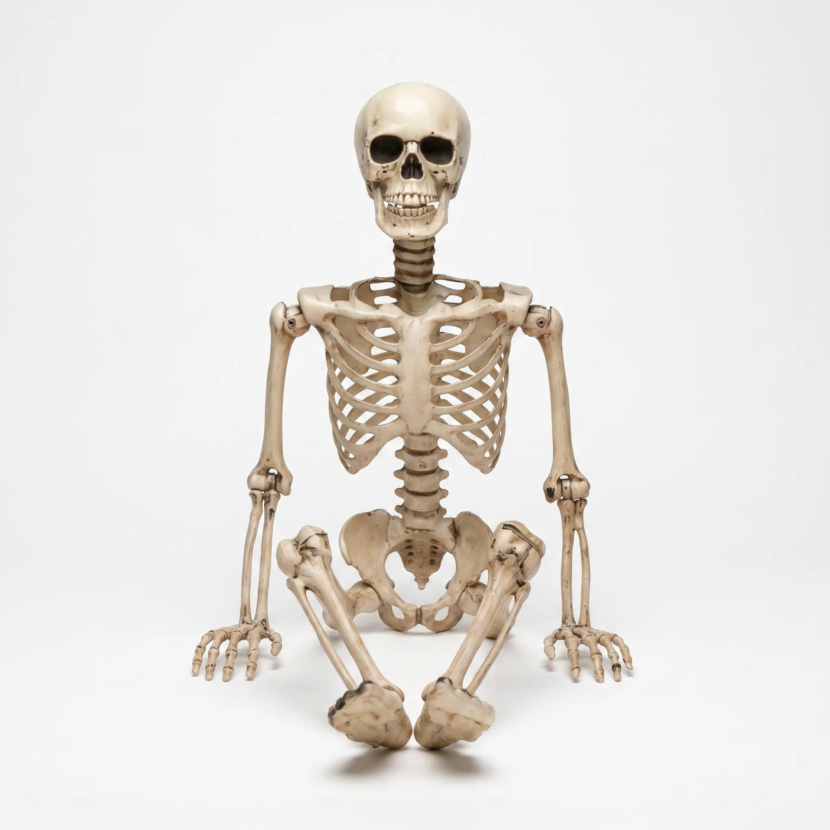 Halloween Skeleton Poseable Full Body Outdoor Garden Decor 35in