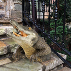 Handmade Resin Alligator Garden Statue, 19 cm